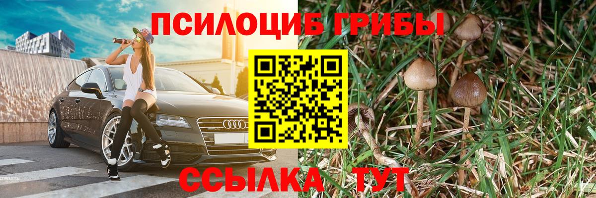 Псилоцибиновые грибы Magic Shrooms  Галлюциногенные грибы ЛСД  даркнет сайт  Узловая  Вход с VPN 